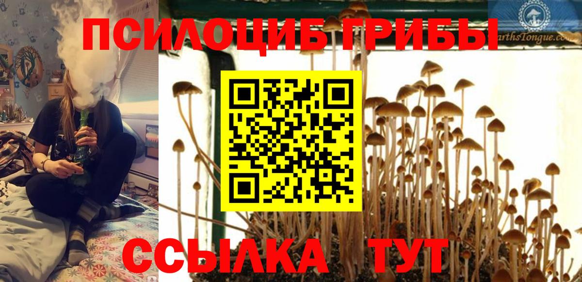 Галлюциногенные грибы мухоморы  Гусиноозёрск 