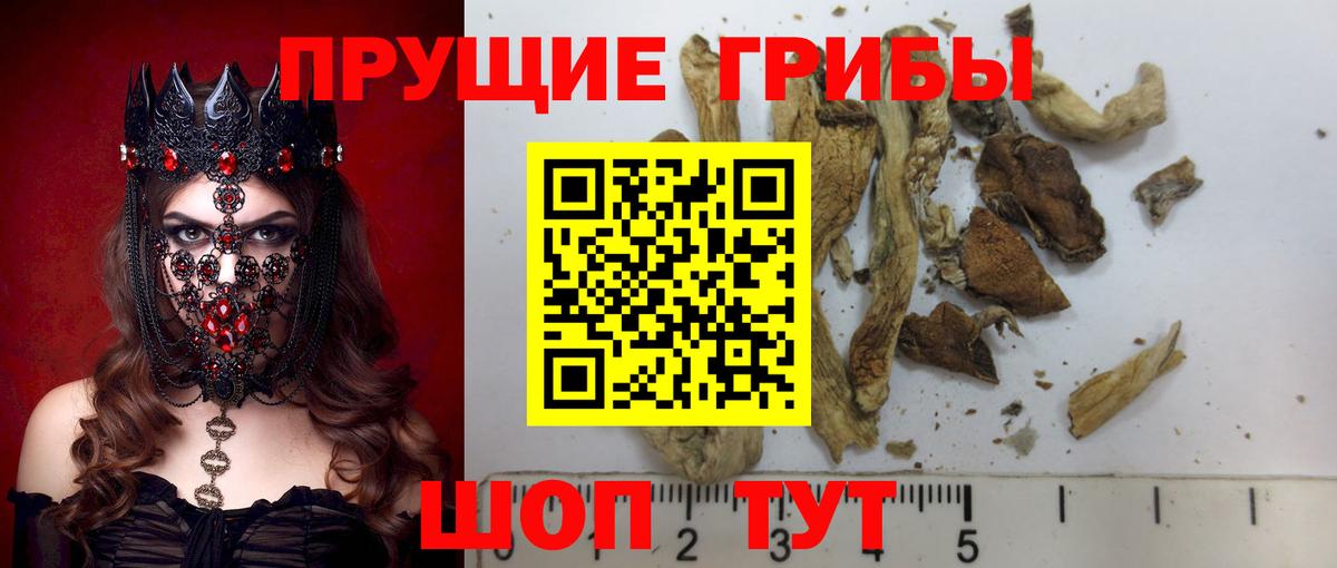 Галлюциногенные грибы мицелий Гусиноозёрск